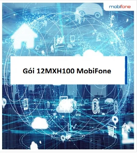 Gói 12MXH100