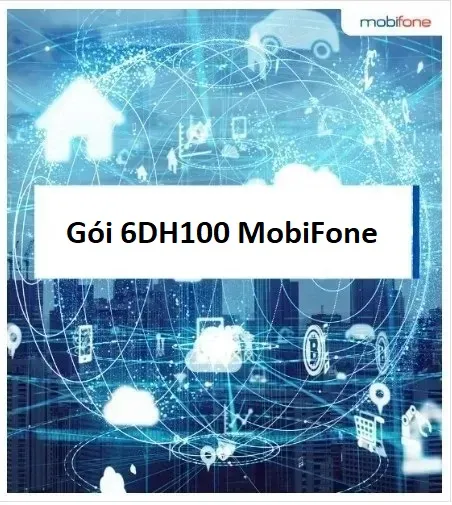 Gói 6DH100