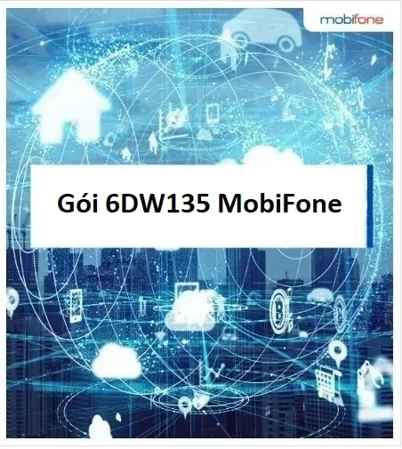 Gói 6DW135