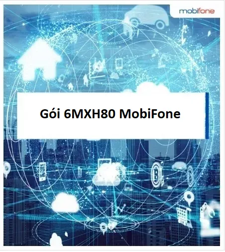 Gói 6MXH80